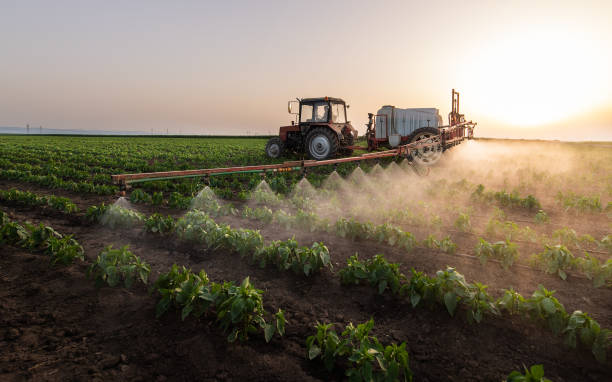 Best Pest Control for Homes  in Wheat Ridge, CO