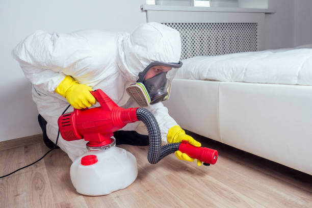 Best Emergency Pest Control  in Wheat Ridge, CO