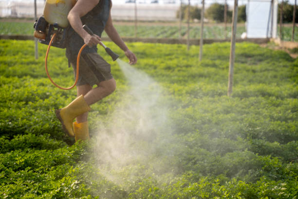 Best Wildlife Control Services  in Wheat Ridge, CO