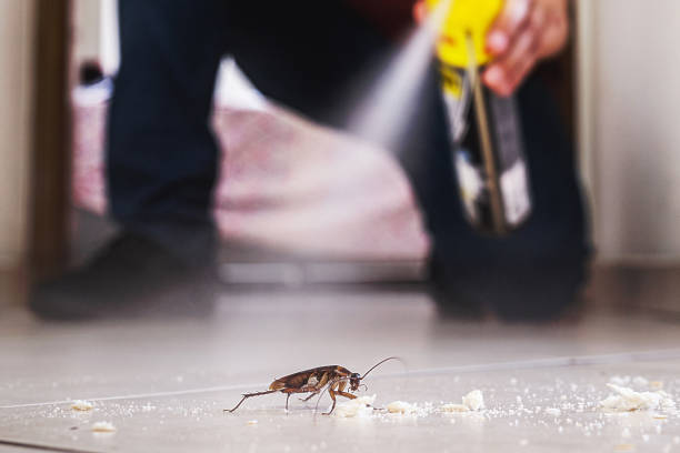 Best Commercial Pest Control Services  in Wheat Ridge, CO
