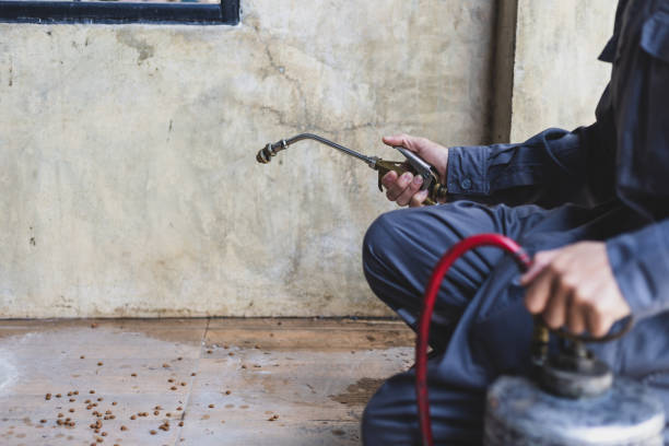 Best Exterminator Services  in Wheat Ridge, CO
